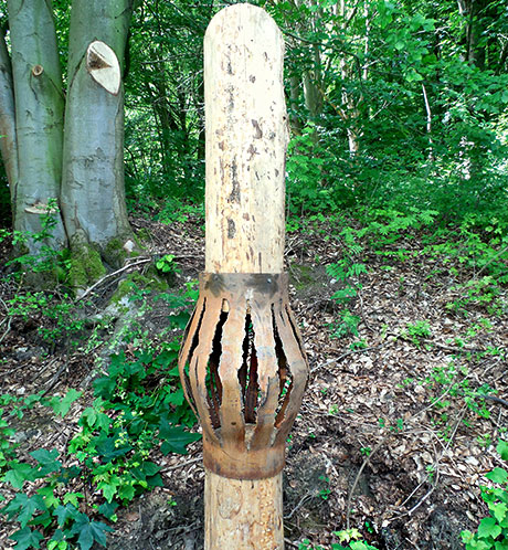 Jana Friedrichs, (HAWK) Hildesheim »Wachsen«